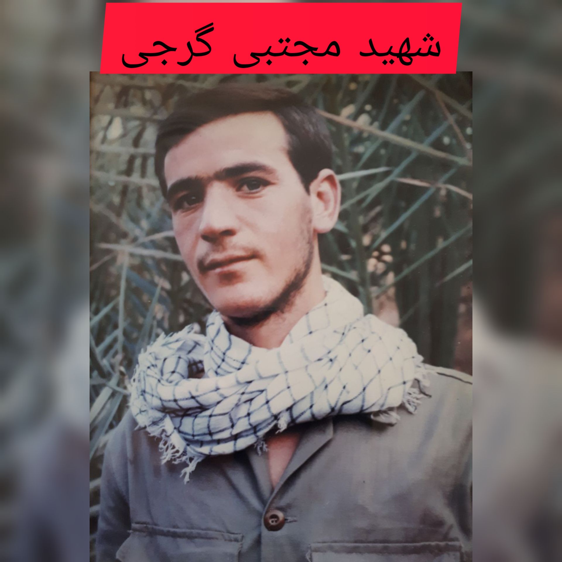 شهید مجتبی گرجی