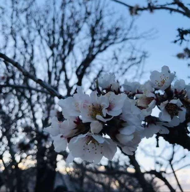 طبیعت روستا