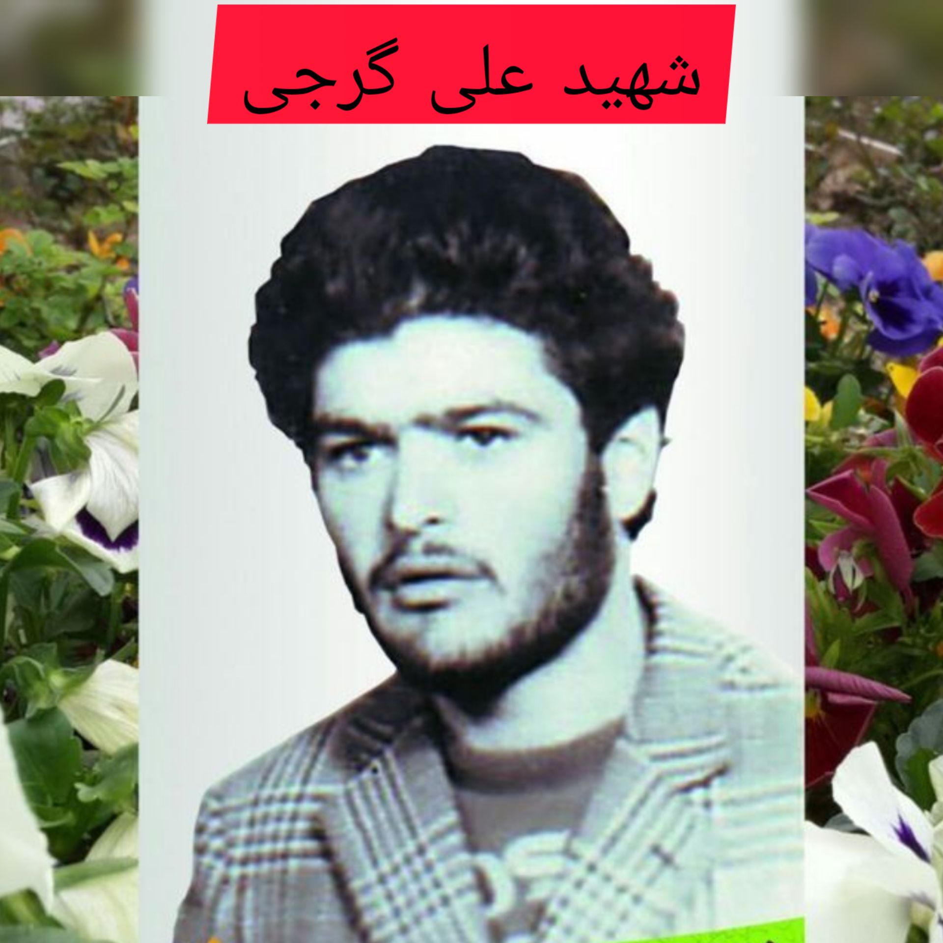 شهید علی گرجی