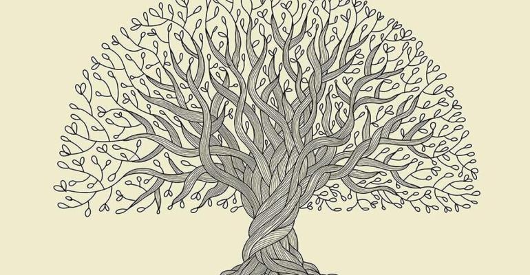 شجره نامه خاندان قاسم محمد - رضایت