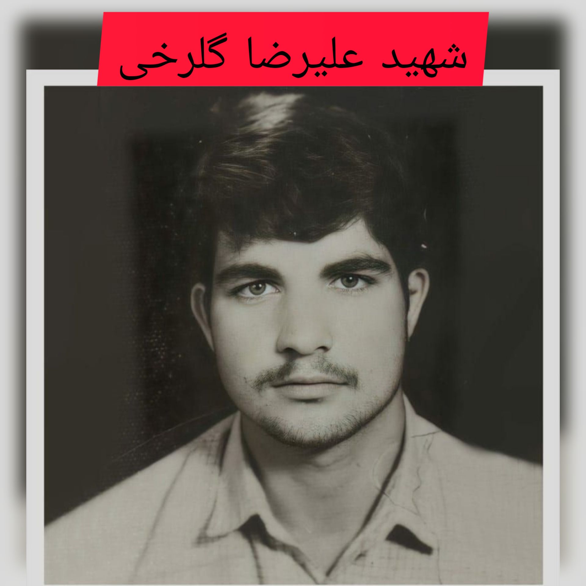 شهید علیرضا گلرخی