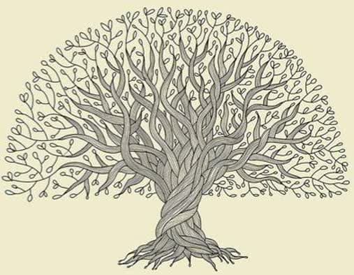 شجره نامه ها