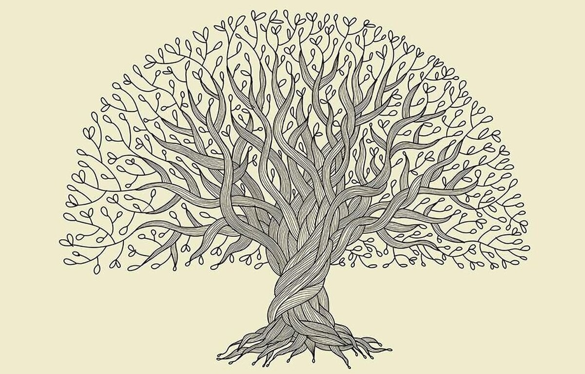 شجره نامه خاندان قاسم محمد - رضایت